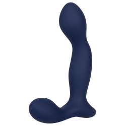 CalExotics Viceroy Stimulateur de prostate Expert Probe Viceroy 10 x 2.5cm